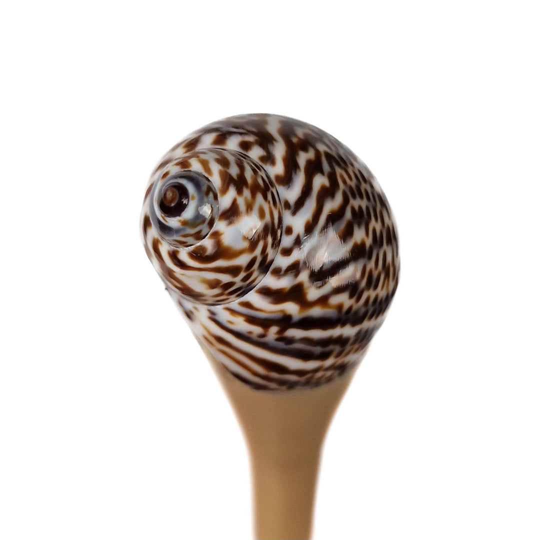 Haarnadel mit Meeresschnecke und Leopardenmuster
